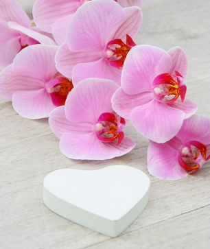 branche d'orchidée rose et coeur blanc,décoration,romantique © Patryssia - fotolia.com Herz und Orchideenblüten