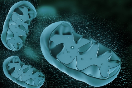 Mitochondrion cross section © popyconcept - fotolia.com Mitochondrien gruen