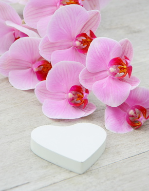 branche d'orchidée rose et coeur blanc,décoration,romantique © Patryssia - fotolia.com Herz und Orchideenblüten